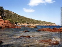 fond d ecran de corse - Dominique Brunati