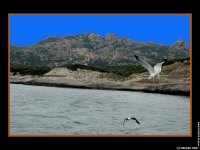 fonds d'ecran de Gerard Mery - Corse - Corsica - ile de beaut