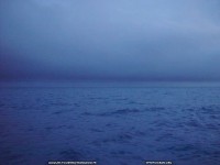fond d ecran de Dauphin & Ocan par Youenn Jacquin - Youenn Jacquin