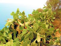 fond d'cran de Damienne Guerin - Cabo de gata et San Jose en Andalousie Espagne