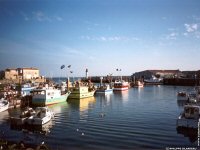 fond d ecran de France Poitou Charente - Charente Maritime - ile d'Oleron - Philippe Gilardeau