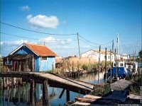 fond d ecran de France Poitou Charente - Charente Maritime - ile d'Oleron - Philippe Gilardeau