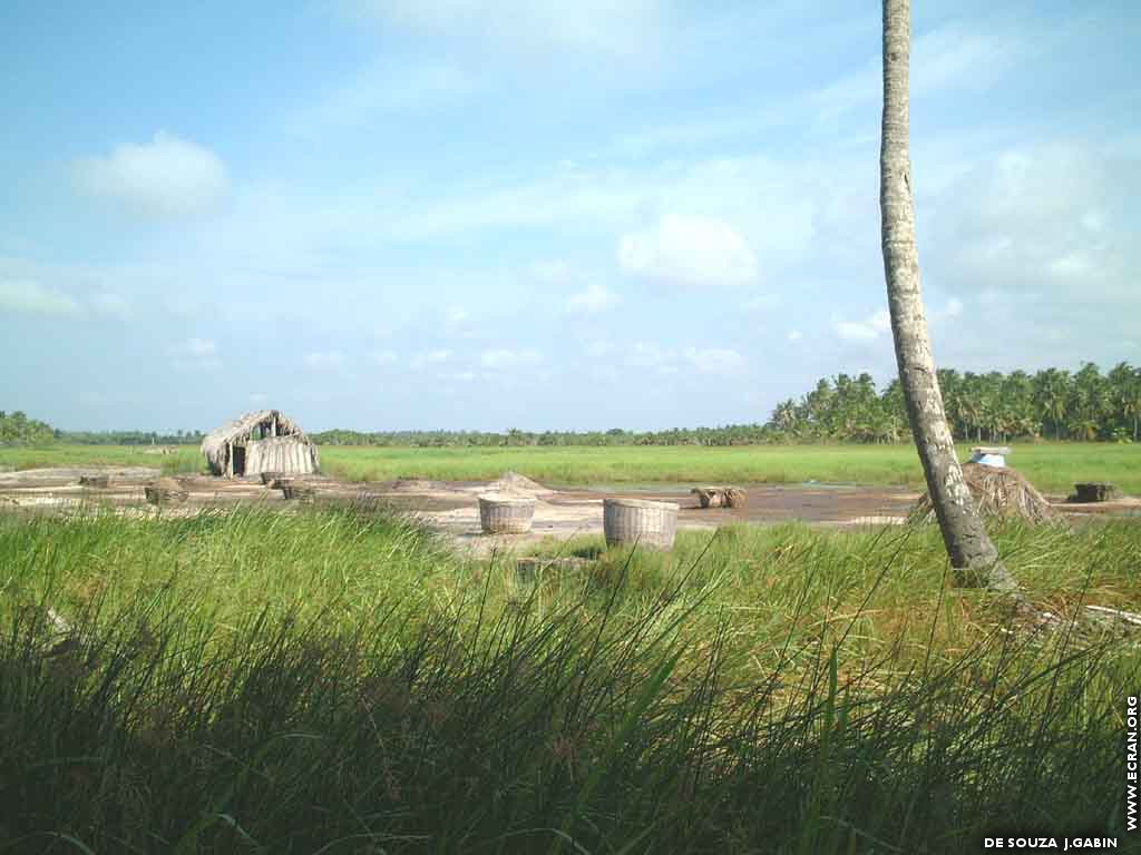 fonds d cran Afrique - Bnin Houakp-Daho Agugu - villages de Ouidah et de Porto-novo - de J.Gabin de SOUZA  (Bibi-Dessin)