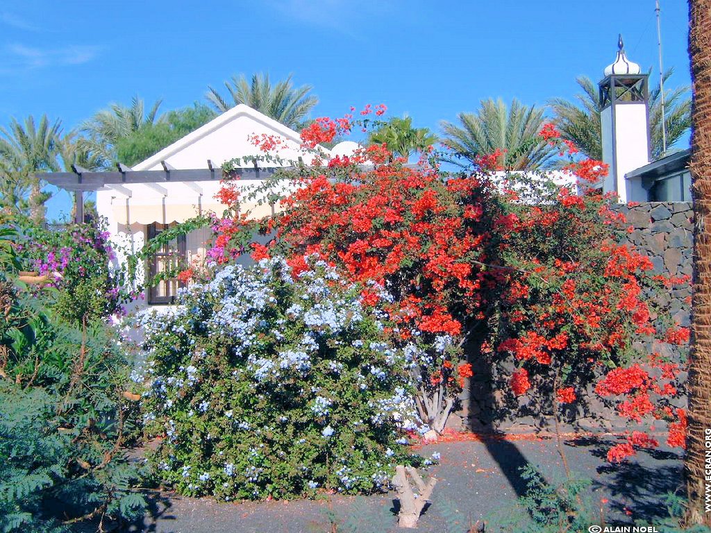 fonds d cran Afrique Iles Canaries Lanzarote - de Alain Noel