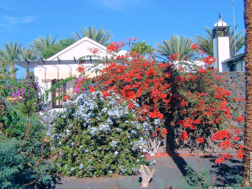 fonds d cran Afrique Iles Canaries Lanzarote - de Alain Noel