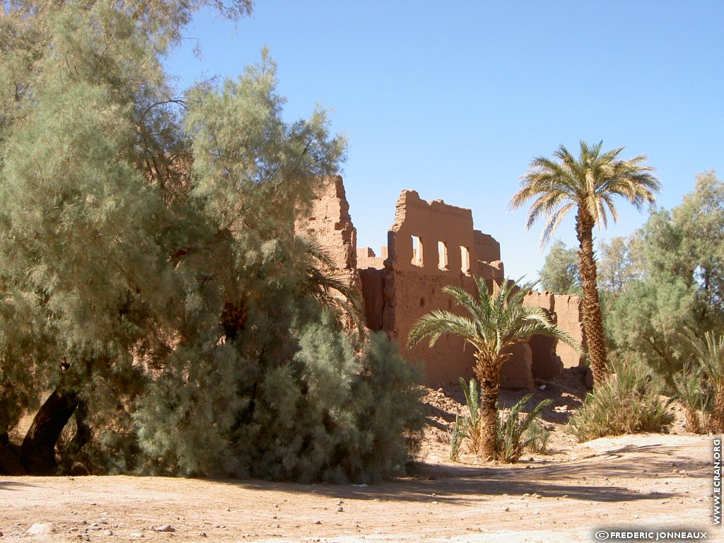 fonds d cran Afrique du nord Maroc Sahara Marocain - de Frederic Jonneaux