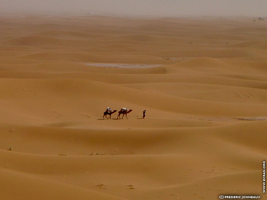 fonds d cran Afrique du nord Maroc Sahara Marocain - de Frederic Jonneaux