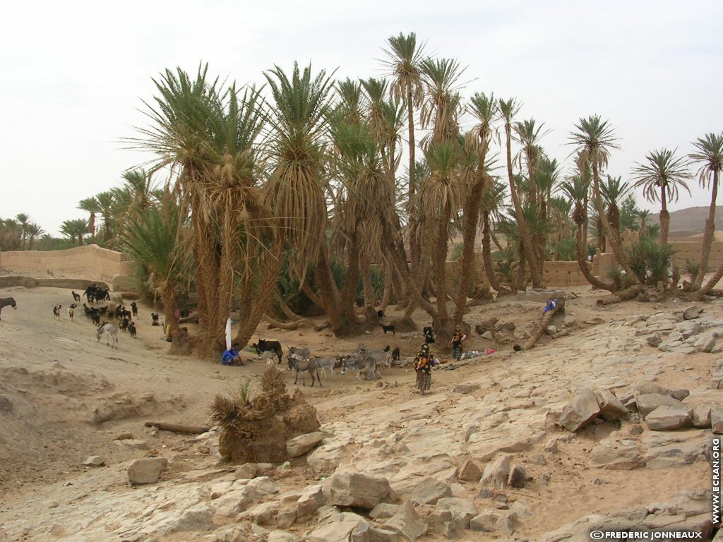 fonds d cran Afrique du nord Maroc Sahara Marocain - de Frederic Jonneaux