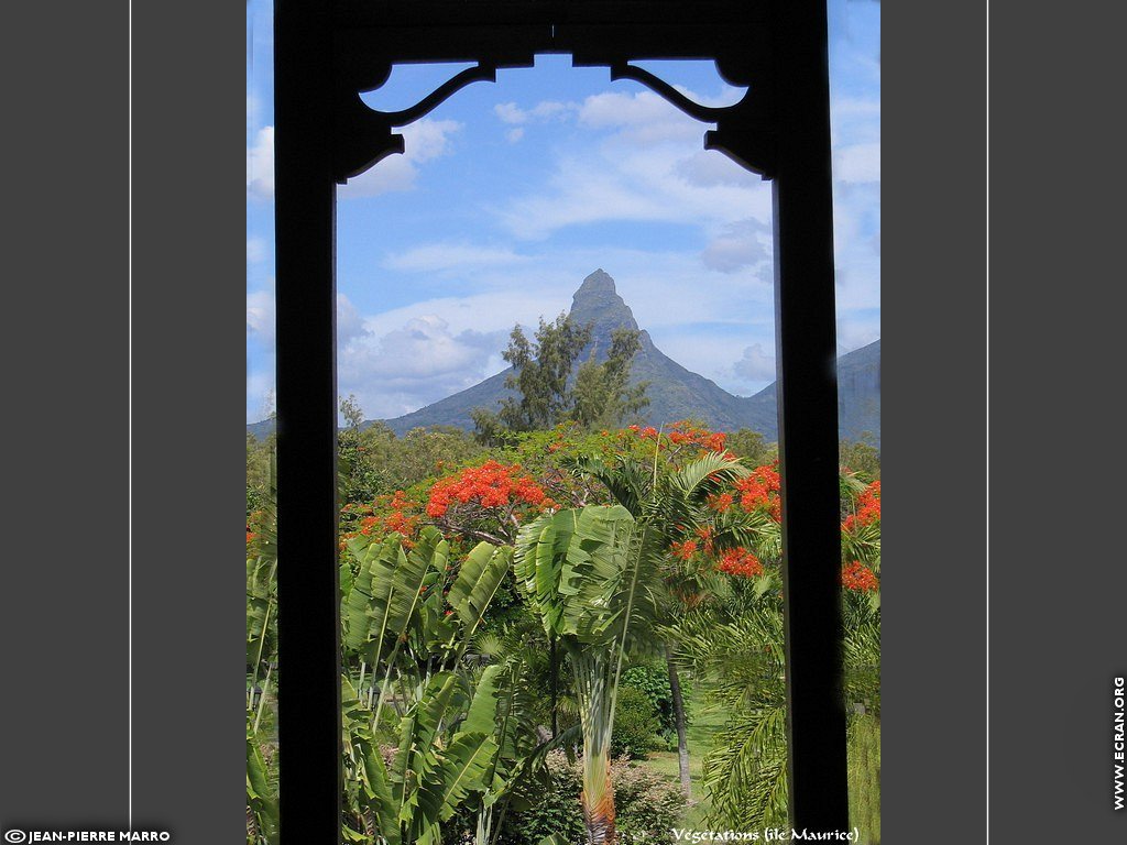 fonds d cran Afrique Ile Maurice Montagne - de Jean-Pierre Marro