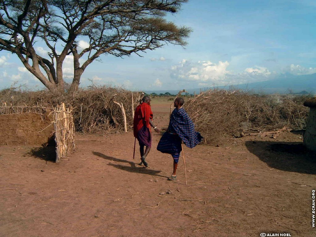 fonds d cran Masa - Massa - Maass - tribu - Kenya - Afrique - de Alain Noel