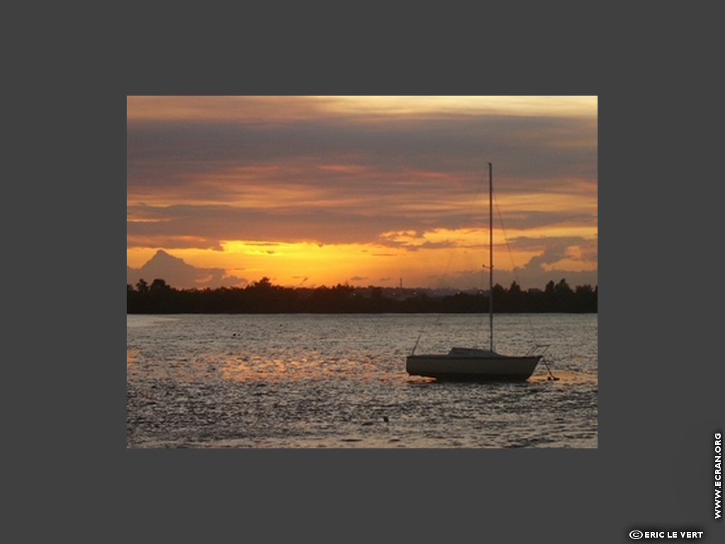 fonds d cran Amerique du sud Amazonie Guyane - de Eric Le Vert