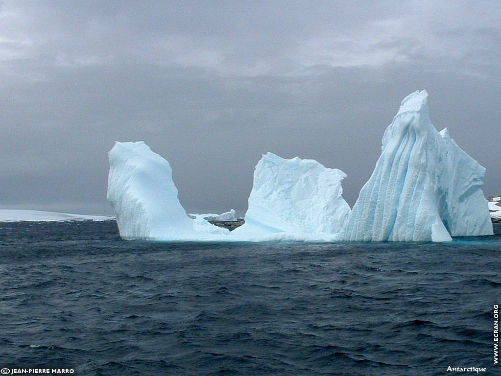 fonds d cran Antarctique Pole Sud Iceberg Banquise - de Jean-Pierre Marro