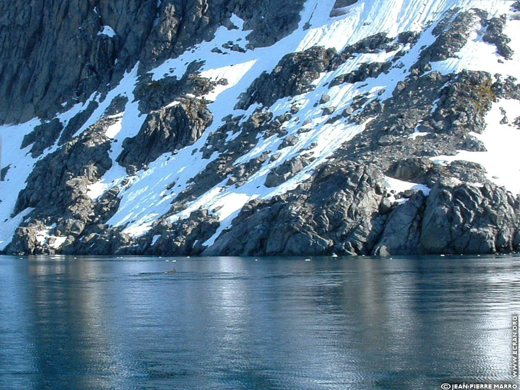 fonds d cran Antarctique Pole Sud Iceberg Banquise - de Jean-Pierre Marro