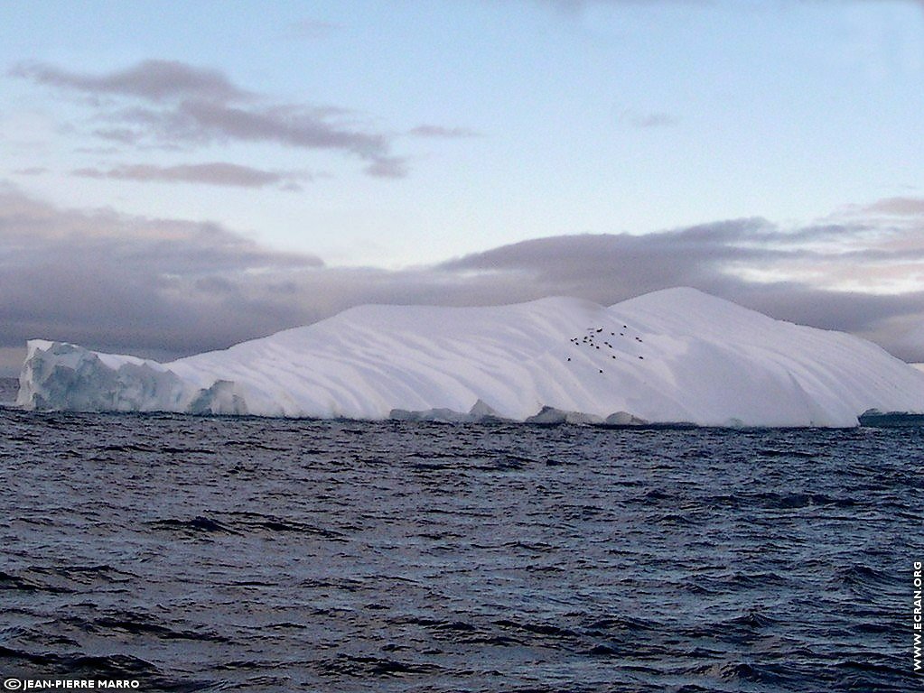 fonds d cran Antarctique Pole Sud Iceberg Banquise - de Jean-Pierre Marro