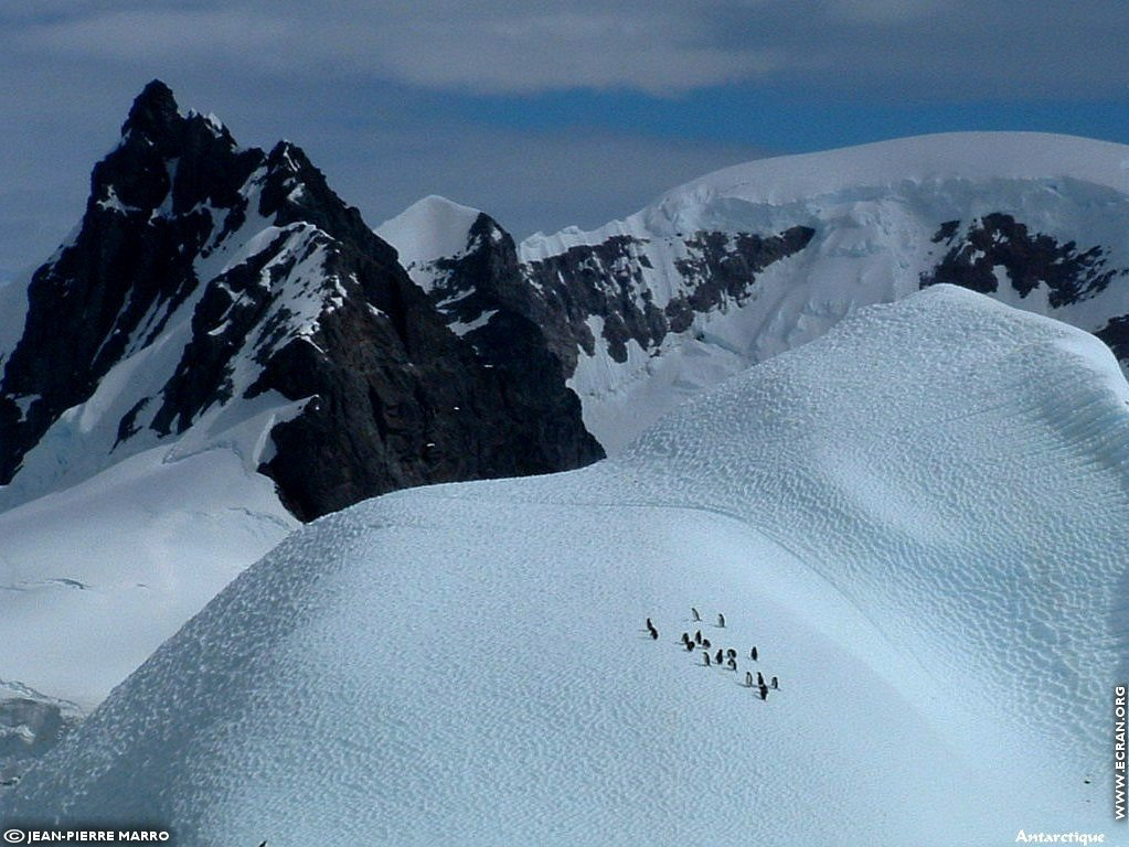 fonds d cran Antarctique Pole Sud Iceberg Banquise - de Jean-Pierre Marro