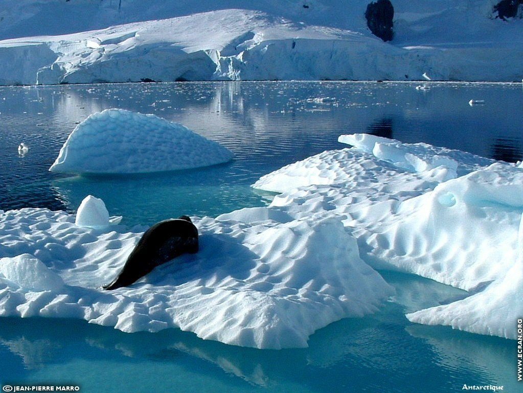 fonds d cran Antarctique Pole Sud Iceberg Banquise - de Jean-Pierre Marro