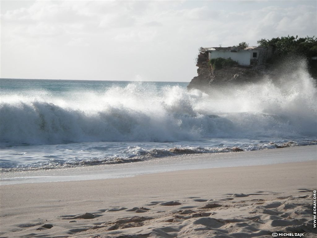 fonds d cran Petites Antilles Caraibes Saint-Martin - de michel Zajk