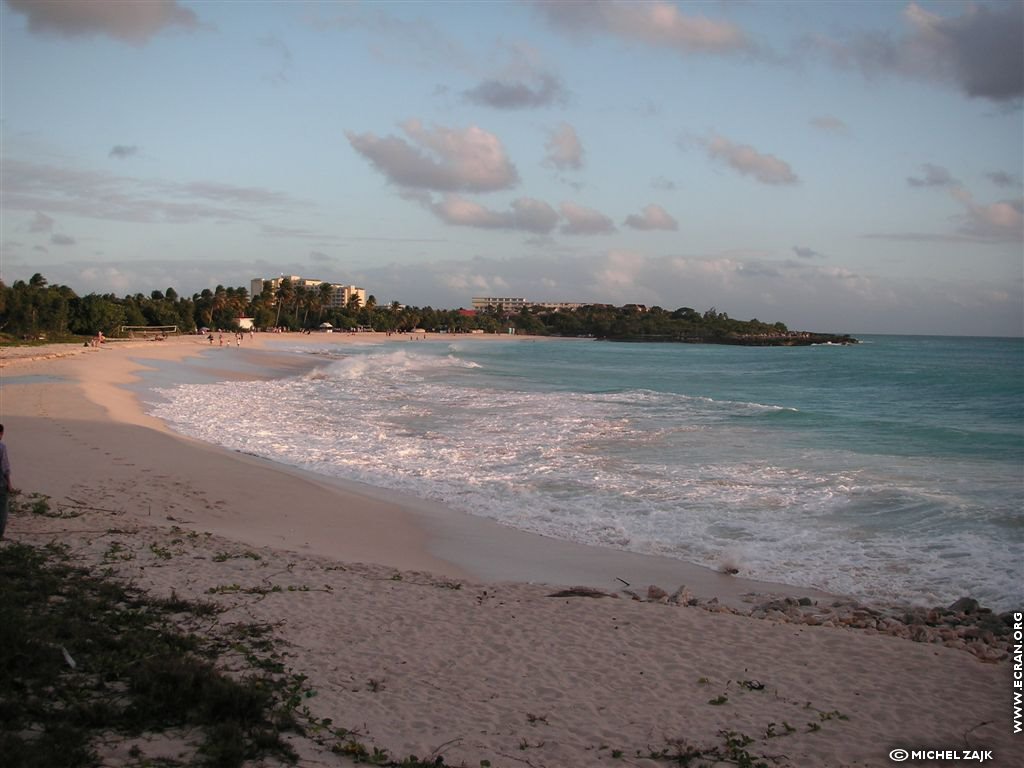fonds d cran Petites Antilles Caraibes Saint-Martin - de michel Zajk