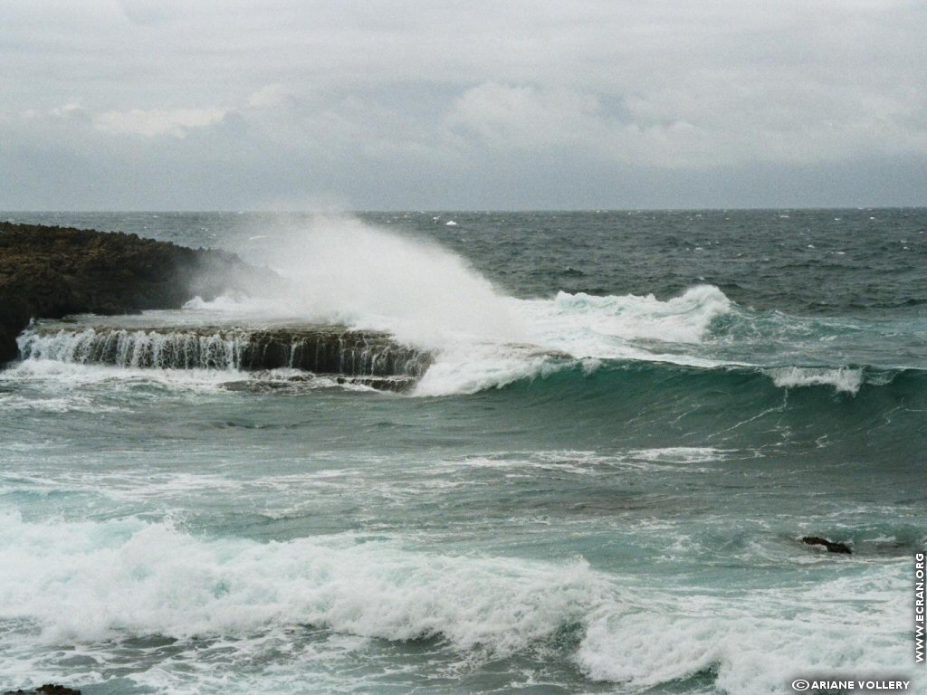 fonds d cran Antilles Guadeloupe - de Ariane Vollery