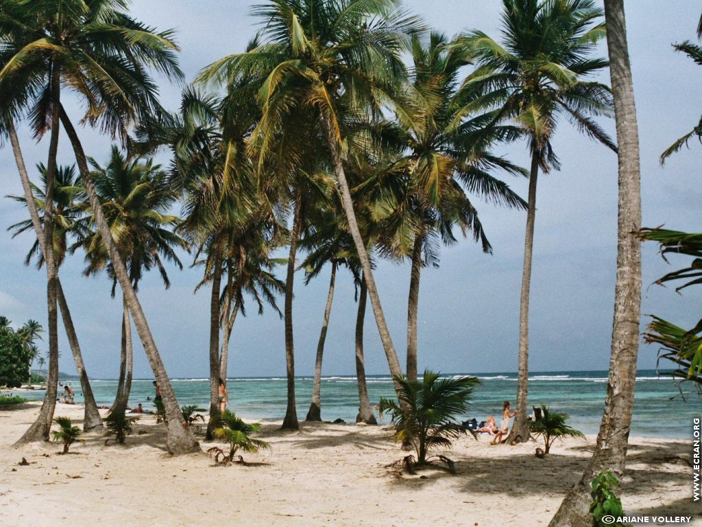 fonds d cran Antilles Guadeloupe - de Ariane Vollery