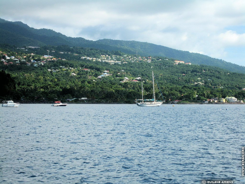 fonds d cran Antilles Guadeloupe - de Guilne Amiens