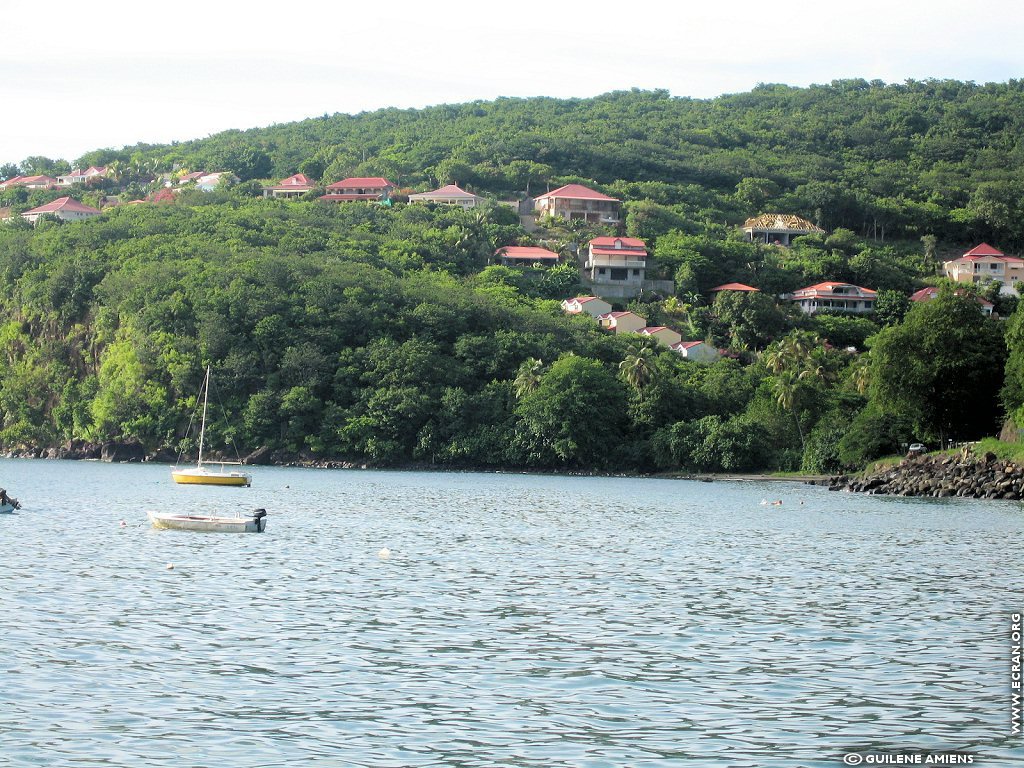 fonds d cran Antilles Guadeloupe - de Guilne Amiens