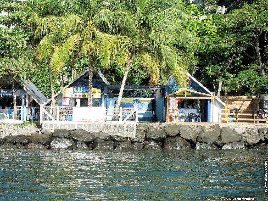 fonds d cran Antilles Guadeloupe - de Guilne Amiens