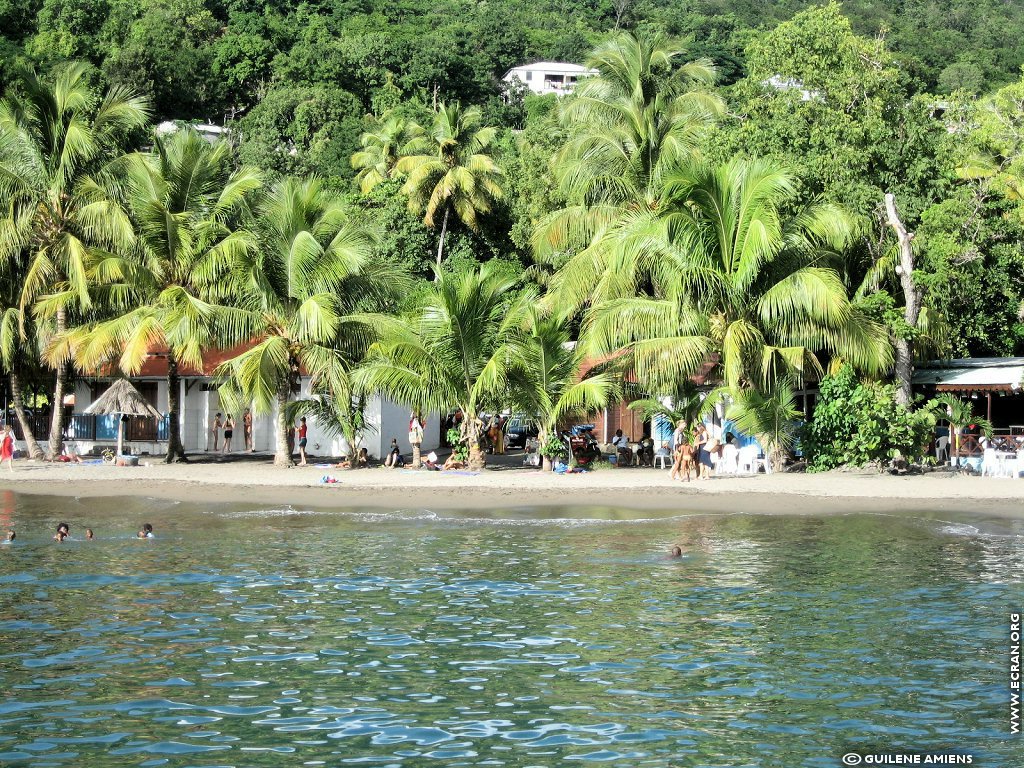 fonds d cran Antilles Guadeloupe - de Guilne Amiens