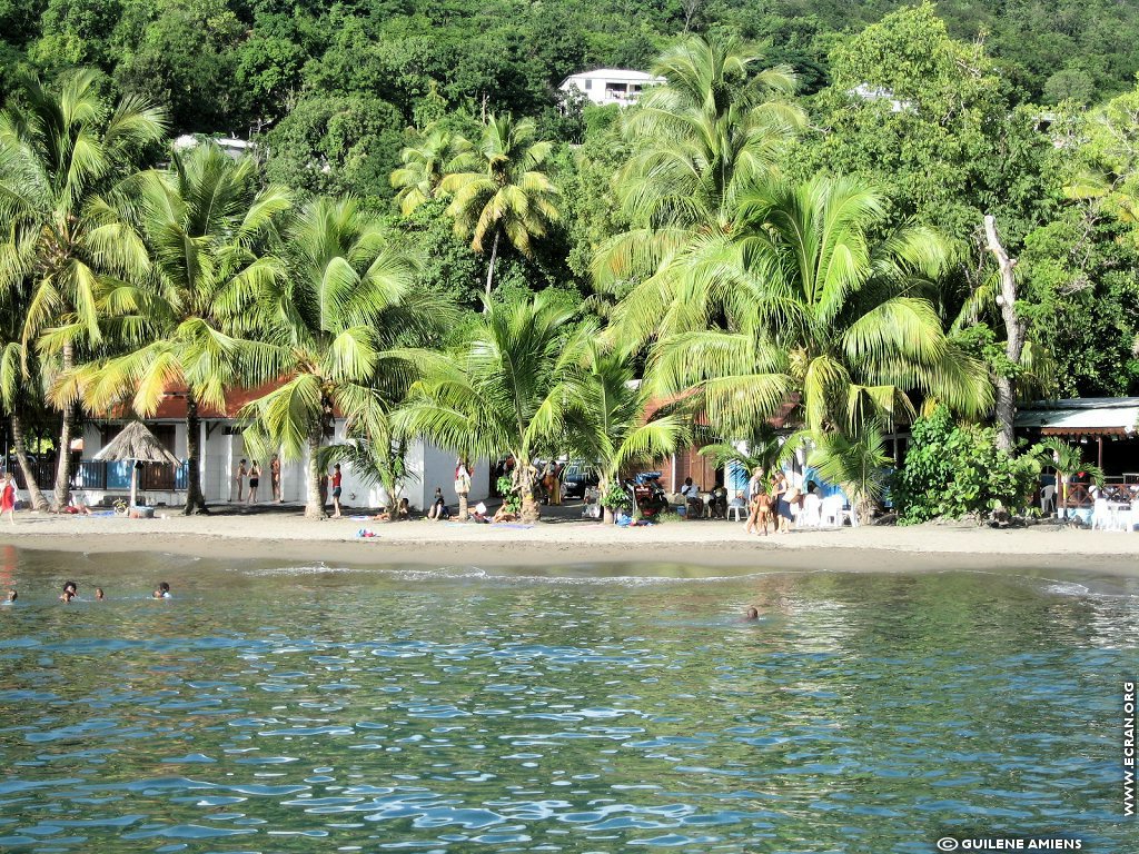 fonds d cran Antilles Guadeloupe - de Guilne Amiens