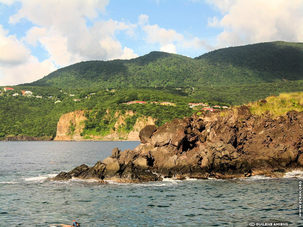 fonds d cran Antilles Guadeloupe - de Guilne Amiens