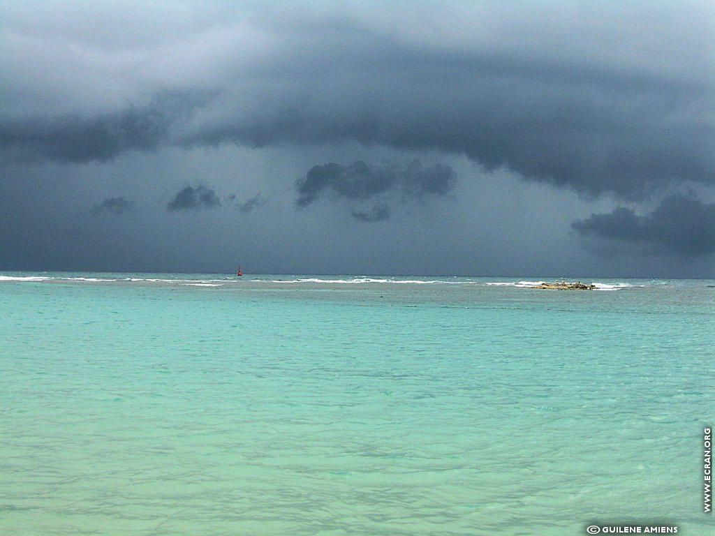 fonds d cran Antilles Guadeloupe - de Guilne Amiens