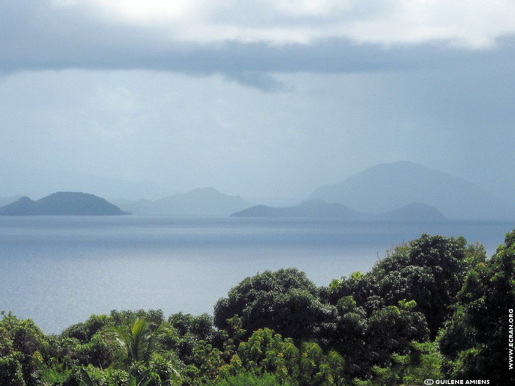 fonds d cran Antilles Guadeloupe - de Guilne Amiens