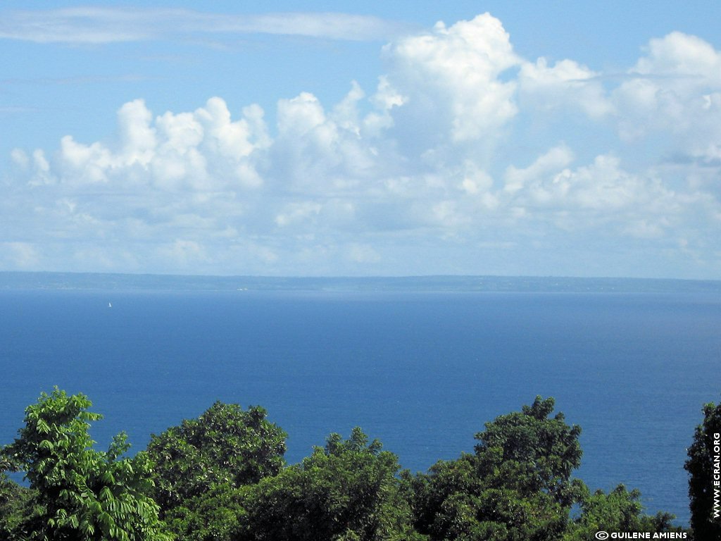 fonds d cran Antilles Guadeloupe - de Guilne Amiens