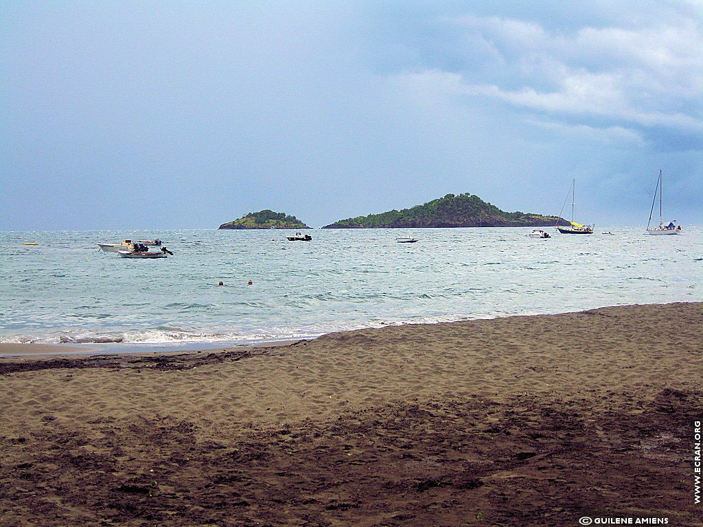 fonds d cran Antilles Guadeloupe - de Guilne Amiens