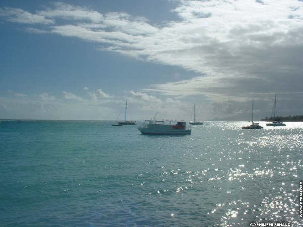 fonds d cran Guadeloupe Antilles - de Philippe Renaud