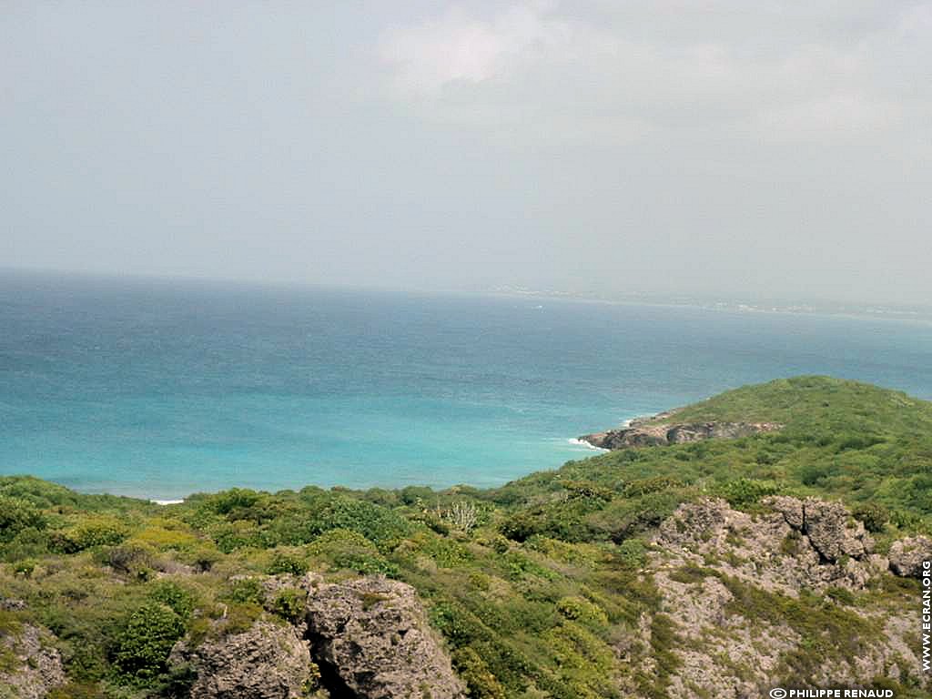 fonds d cran Guadeloupe Antilles - de Philippe Renaud