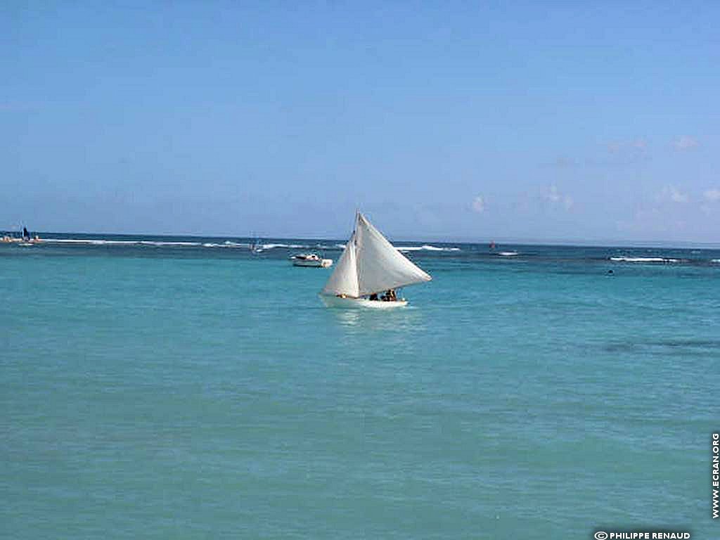 fonds d cran Guadeloupe Antilles - de Philippe Renaud