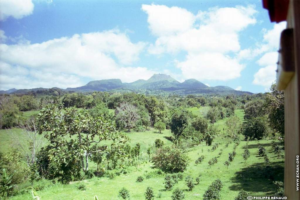 fonds d cran Guadeloupe Antilles - de Philippe Renaud