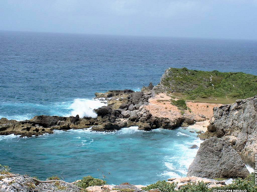 fonds d cran Guadeloupe Antilles - de Philippe Renaud