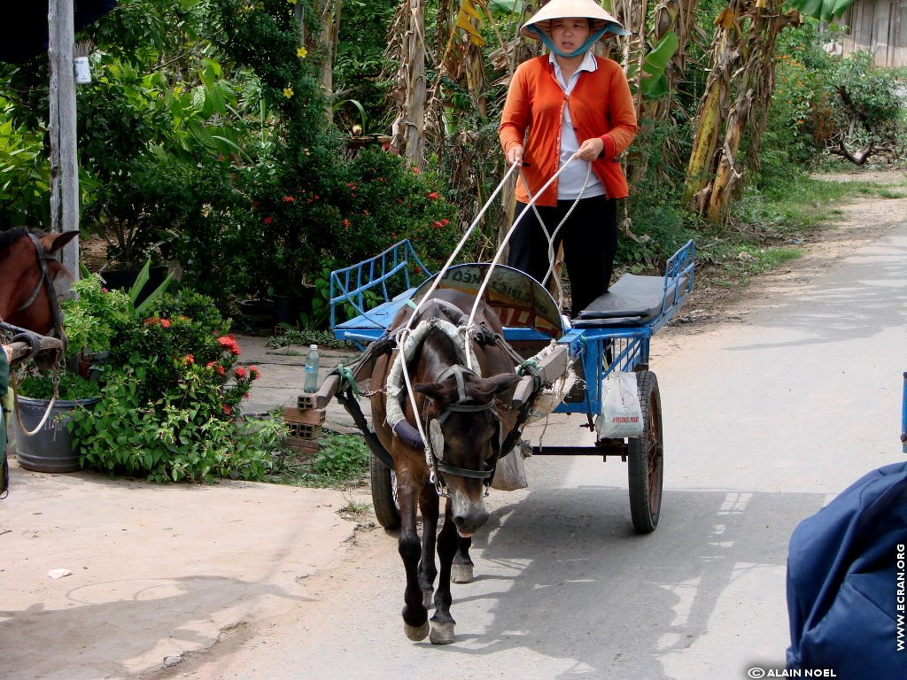 fonds d cran Vietnam - de Alain Noel