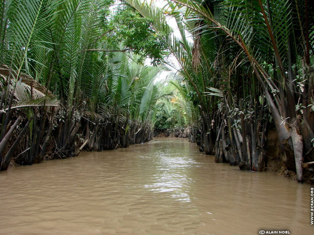 fonds d cran Vietnam - de Alain Noel