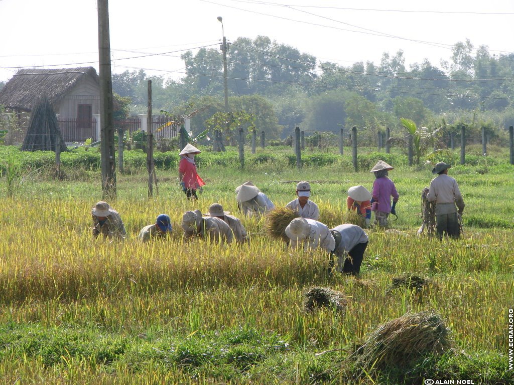 fonds d cran Vietnam - de Alain Noel