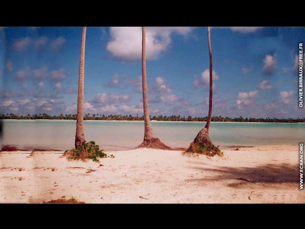 fonds d cran des fonds d'ecran de Bora-Bora bora par Olivier Birraux , habitant  ... Bora bora. Nana et  faaitoito ! - de Olivier Birraux