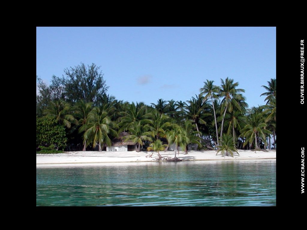 fonds d cran des fonds d'ecran de Bora-Bora bora par Olivier Birraux , habitant  ... Bora bora. Nana et  faaitoito ! - de Olivier Birraux