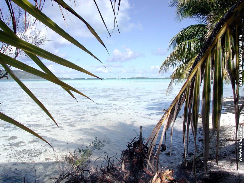 fonds d cran des fonds d'ecran de Bora-Bora bora par Olivier Birraux , habitant  ... Bora bora. Nana et  faaitoito ! - de Olivier Birraux