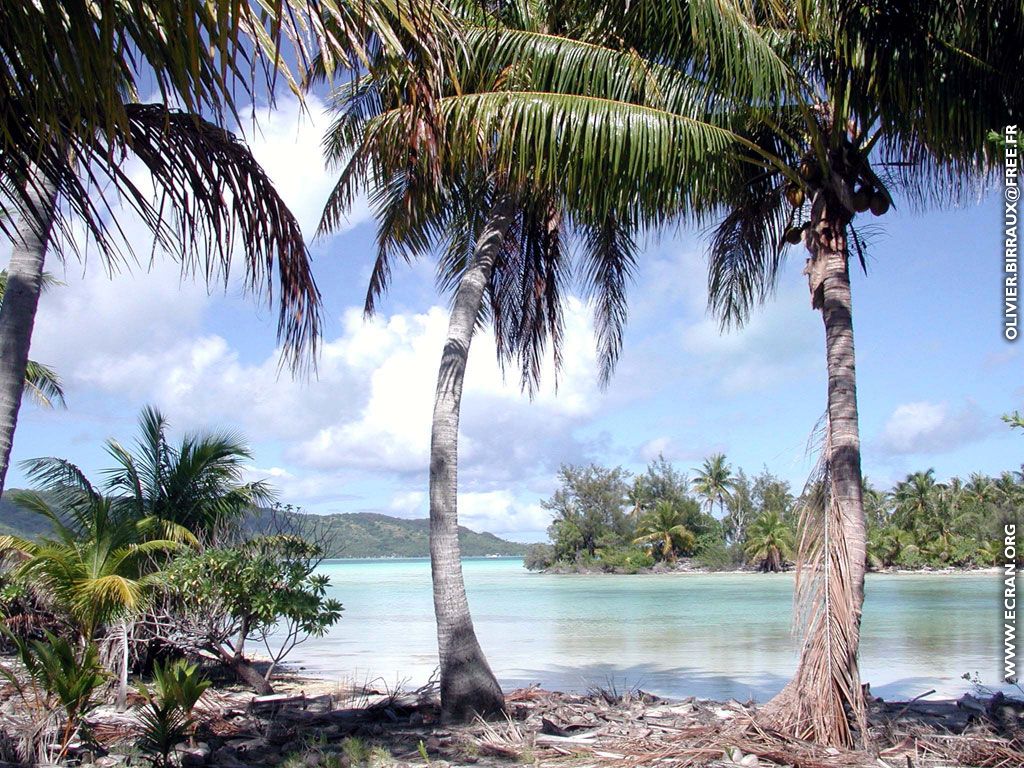 fonds d cran des fonds d'ecran de Bora-Bora bora par Olivier Birraux , habitant  ... Bora bora. Nana et  faaitoito ! - de Olivier Birraux