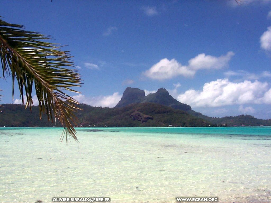 fonds d cran des fonds d'ecran de Bora-Bora bora par Olivier Birraux , habitant  ... Bora bora. Nana et  faaitoito ! - de Olivier Birraux