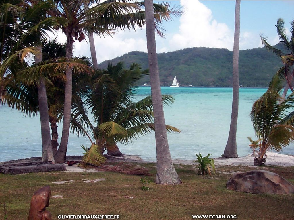 fonds d cran des fonds d'ecran de Bora-Bora bora par Olivier Birraux , habitant  ... Bora bora. Nana et  faaitoito ! - de Olivier Birraux