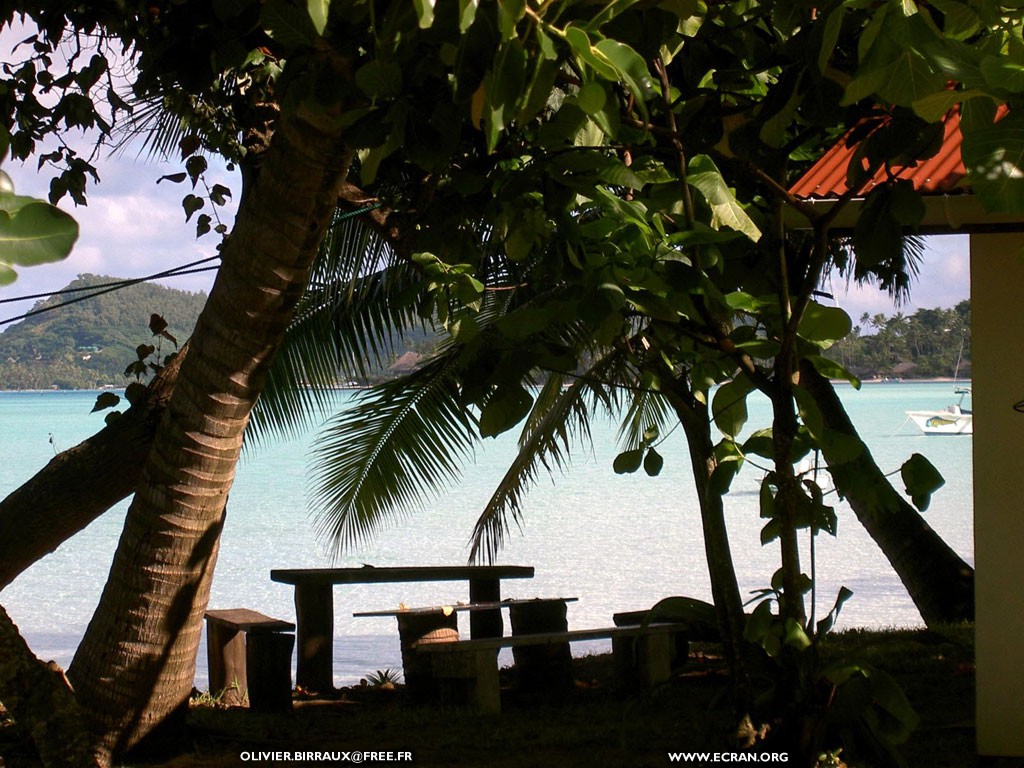 fonds d cran des fonds d'ecran de Bora-Bora bora par Olivier Birraux , habitant  ... Bora bora. Nana et  faaitoito ! - de Olivier Birraux