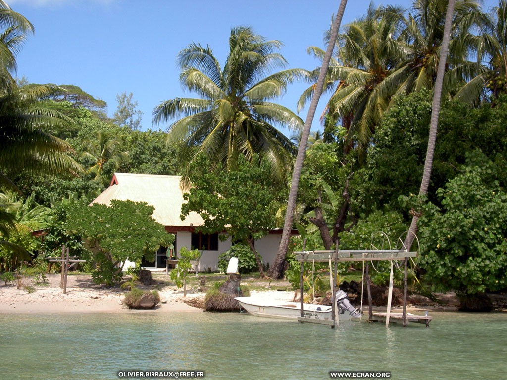 fonds d cran des fonds d'ecran de Bora-Bora bora par Olivier Birraux , habitant  ... Bora bora. Nana et  faaitoito ! - de Olivier Birraux